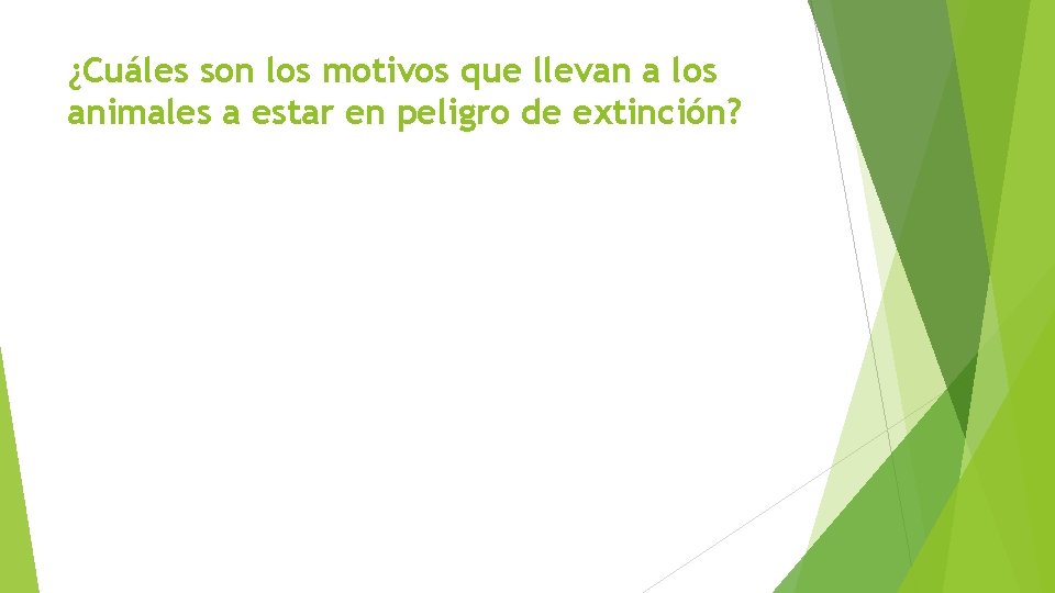 ¿Cuáles son los motivos que llevan a los animales a estar en peligro de