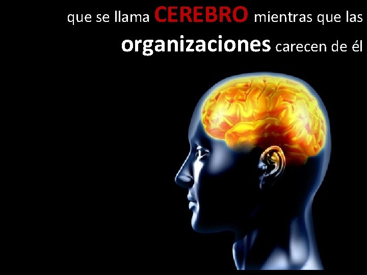 que se llama CEREBRO mientras que las organizaciones carecen de él 