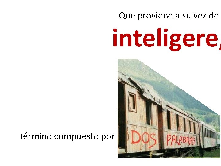 Que proviene a su vez de inteligere, término compuesto por 