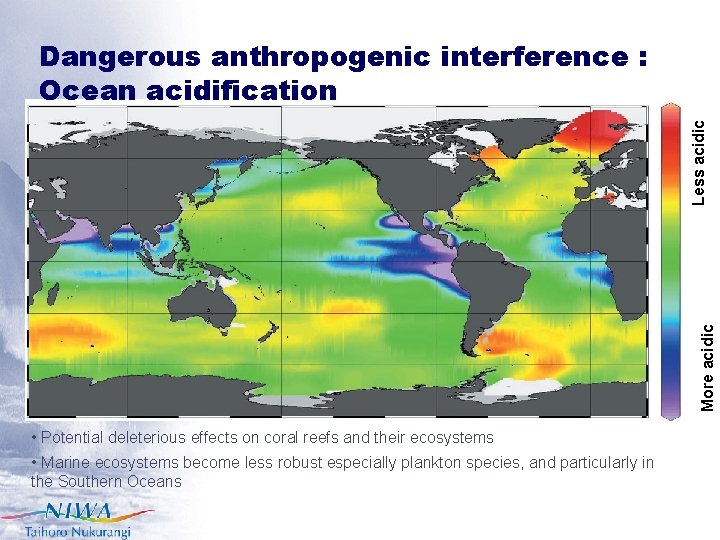 More acidic Less acidic Dangerous anthropogenic interference : Ocean acidification • Potential deleterious effects