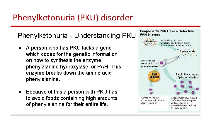 Phenylketonuria (PKU) disorder Phenylketonuria - Understanding PKU ● A person who has PKU lacks