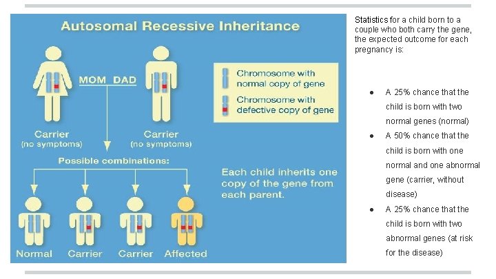Statistics for a child born to a couple who both carry the gene, the