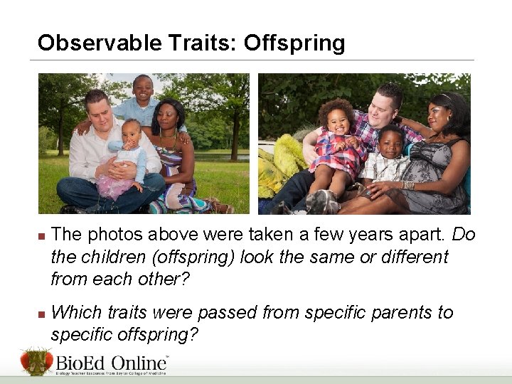 Observable Traits: Offspring n n The photos above were taken a few years apart.