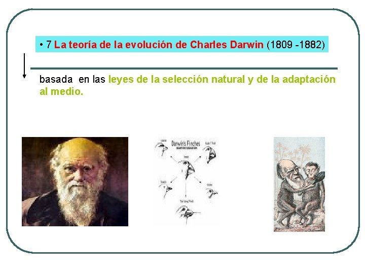  • 7 La teoría de la evolución de Charles Darwin (1809 -1882) basada