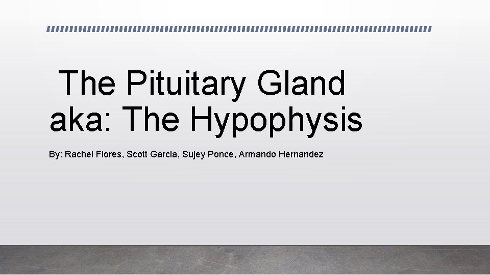 The Pituitary Gland aka: The Hypophysis By: Rachel Flores, Scott Garcia, Sujey Ponce, Armando