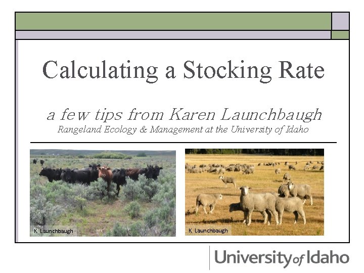 Calculating a Stocking Rate a few tips from Karen Launchbaugh Rangeland Ecology & Management