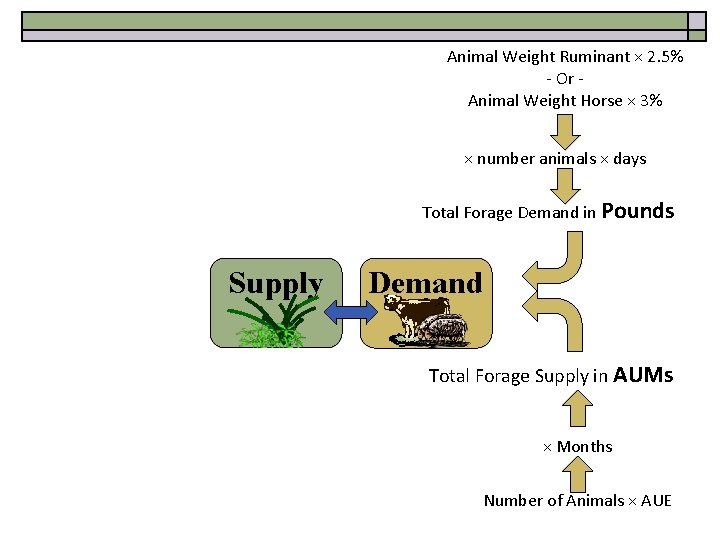 Animal Weight Ruminant × 2. 5% - Or Animal Weight Horse × 3% ×