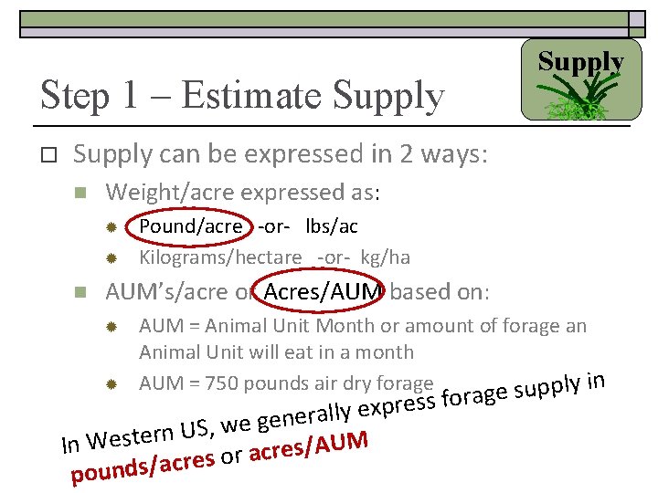 Step 1 – Estimate Supply o Supply can be expressed in 2 ways: n