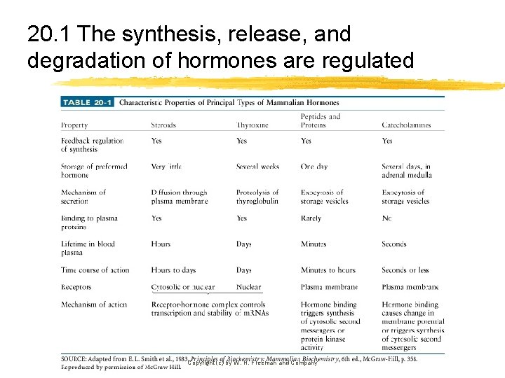 20. 1 The synthesis, release, and degradation of hormones are regulated Copyright (c) by