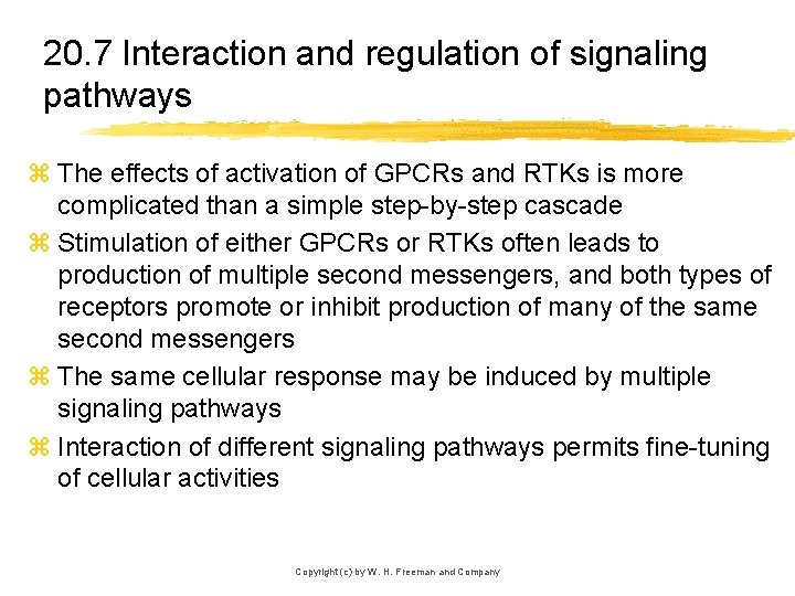 20. 7 Interaction and regulation of signaling pathways z The effects of activation of