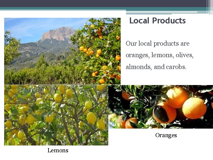 Local Products Our local products are oranges, lemons, olives, almonds, and carobs. Oranges Lemons