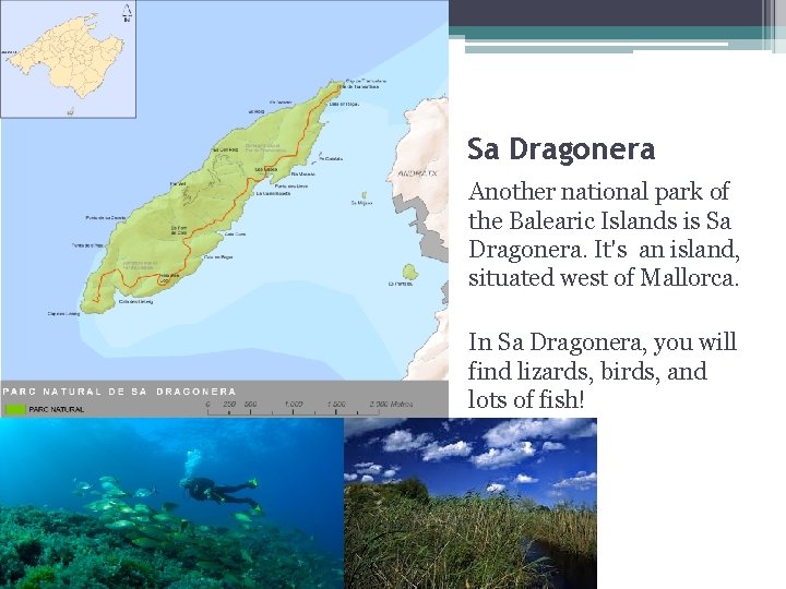 Sa Dragonera Another national park of the Balearic Islands is Sa Dragonera. It's an