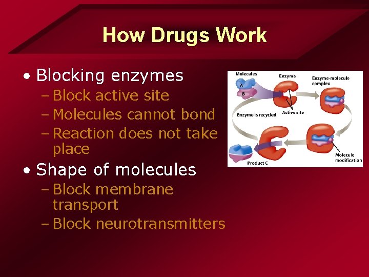 How Drugs Work • Blocking enzymes – Block active site – Molecules cannot bond How Drugs Work • Blocking enzymes – Block active site – Molecules cannot bond