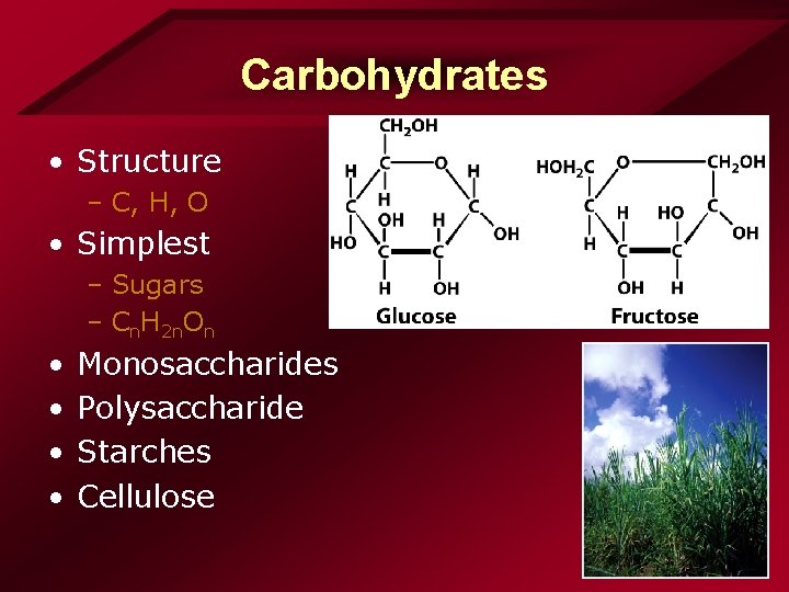 Carbohydrates • Structure – C, H, O • Simplest – Sugars – Cn. H Carbohydrates • Structure – C, H, O • Simplest – Sugars – Cn. H
