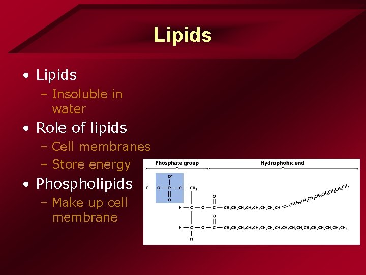 Lipids • Lipids – Insoluble in water • Role of lipids – Cell membranes Lipids • Lipids – Insoluble in water • Role of lipids – Cell membranes