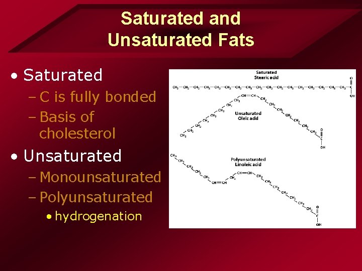 Saturated and Unsaturated Fats • Saturated – C is fully bonded – Basis of Saturated and Unsaturated Fats • Saturated – C is fully bonded – Basis of