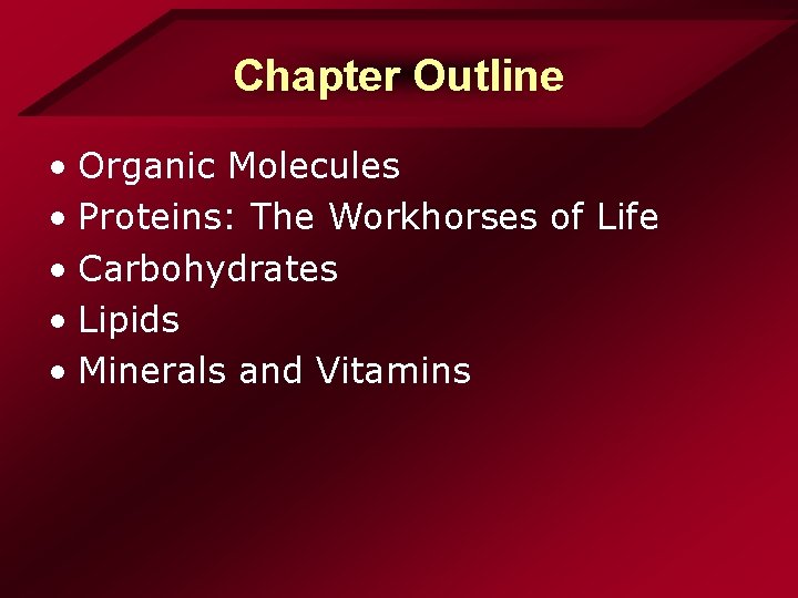 Chapter Outline • Organic Molecules • Proteins: The Workhorses of Life • Carbohydrates • Chapter Outline • Organic Molecules • Proteins: The Workhorses of Life • Carbohydrates •