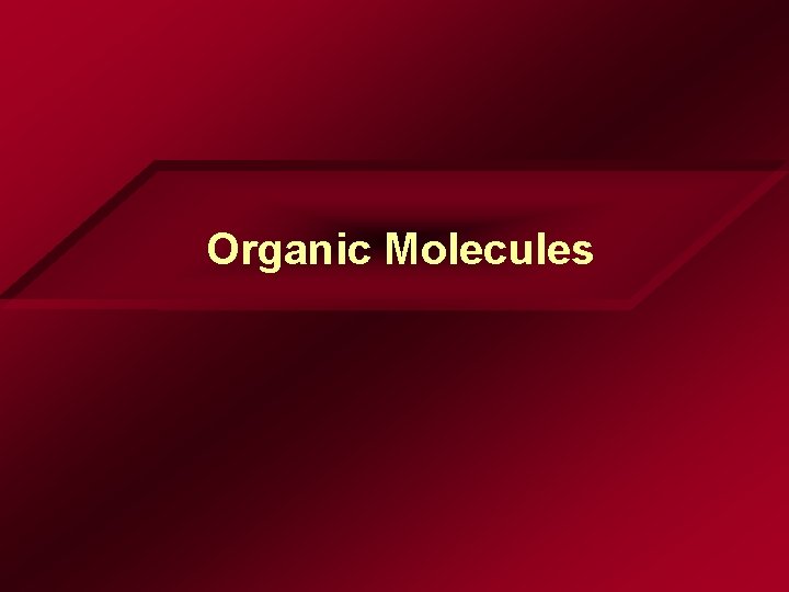 Organic Molecules Organic Molecules