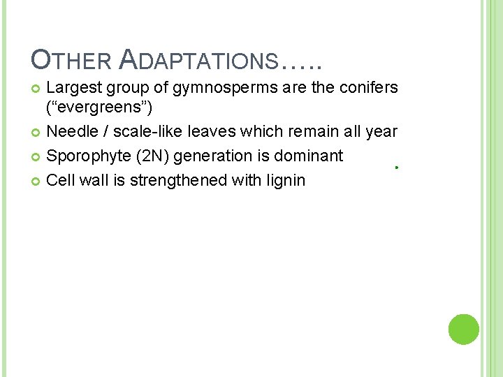 OTHER ADAPTATIONS…. . Largest group of gymnosperms are the conifers (“evergreens”) Needle / scale-like OTHER ADAPTATIONS…. . Largest group of gymnosperms are the conifers (“evergreens”) Needle / scale-like