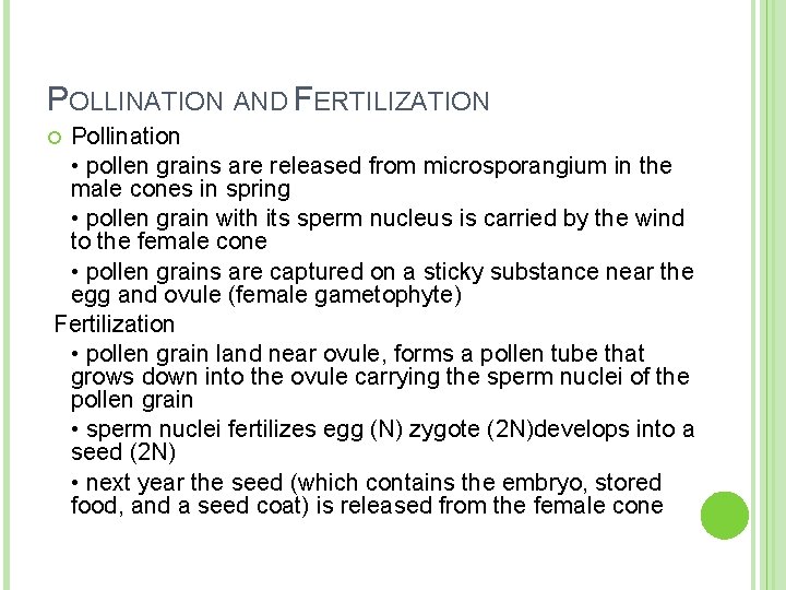 POLLINATION AND FERTILIZATION Pollination • pollen grains are released from microsporangium in the male POLLINATION AND FERTILIZATION Pollination • pollen grains are released from microsporangium in the male