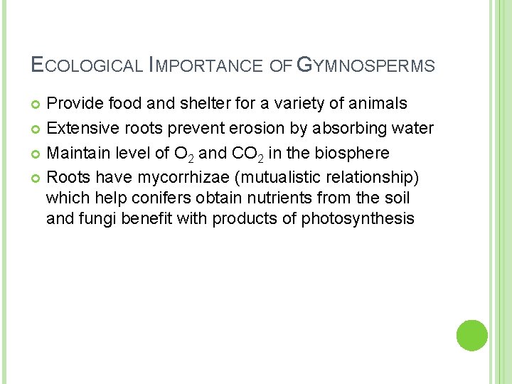 ECOLOGICAL IMPORTANCE OF GYMNOSPERMS Provide food and shelter for a variety of animals Extensive ECOLOGICAL IMPORTANCE OF GYMNOSPERMS Provide food and shelter for a variety of animals Extensive