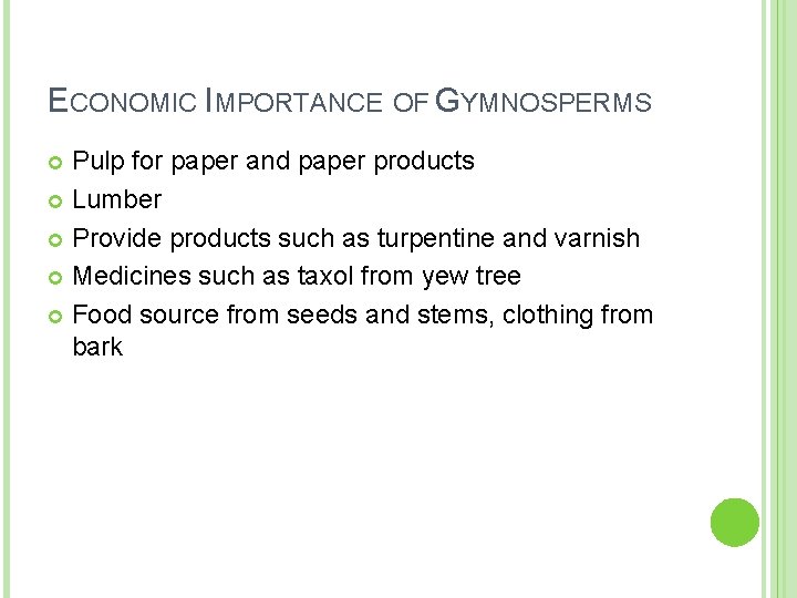 ECONOMIC IMPORTANCE OF GYMNOSPERMS Pulp for paper and paper products Lumber Provide products such ECONOMIC IMPORTANCE OF GYMNOSPERMS Pulp for paper and paper products Lumber Provide products such