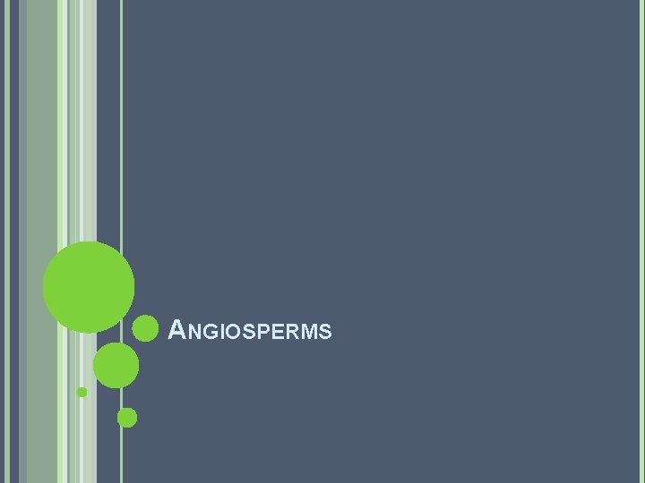 ANGIOSPERMS ANGIOSPERMS