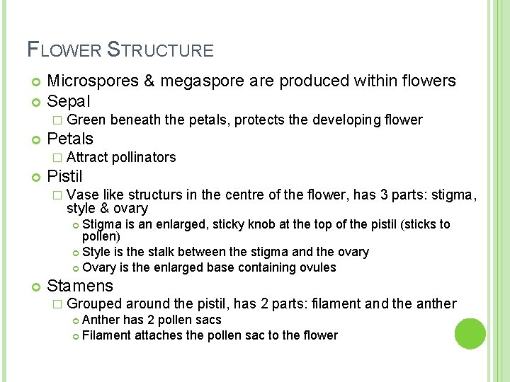 FLOWER STRUCTURE Microspores & megaspore are produced within flowers Sepal � Petals � Green FLOWER STRUCTURE Microspores & megaspore are produced within flowers Sepal � Petals � Green
