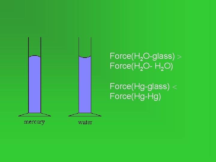 Force(H 2 O-glass) Force(H 2 O- H 2 O) Force(Hg-glass) Force(Hg-Hg) 