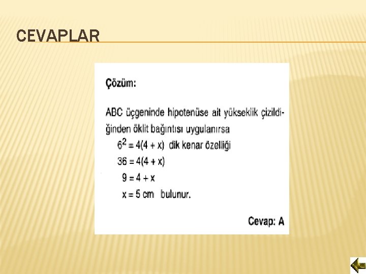 CEVAPLAR 