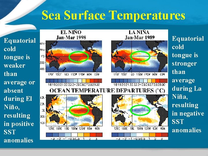 Sea Surface Temperatures Equatorial cold tongue is weaker than average or absent during El Sea Surface Temperatures Equatorial cold tongue is weaker than average or absent during El