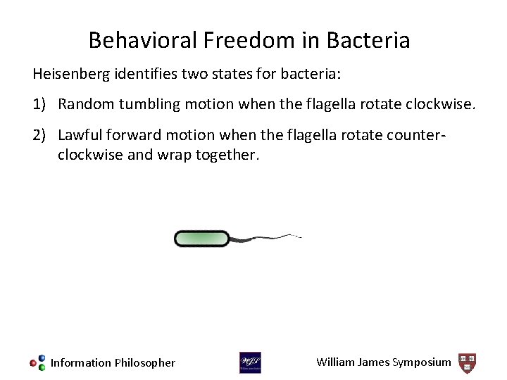 Behavioral Freedom in Bacteria Heisenberg identifies two states for bacteria: 1) Random tumbling motion