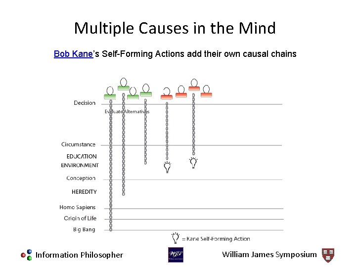 Multiple Causes in the Mind Bob Kane’s Self-Forming Actions add their own causal chains