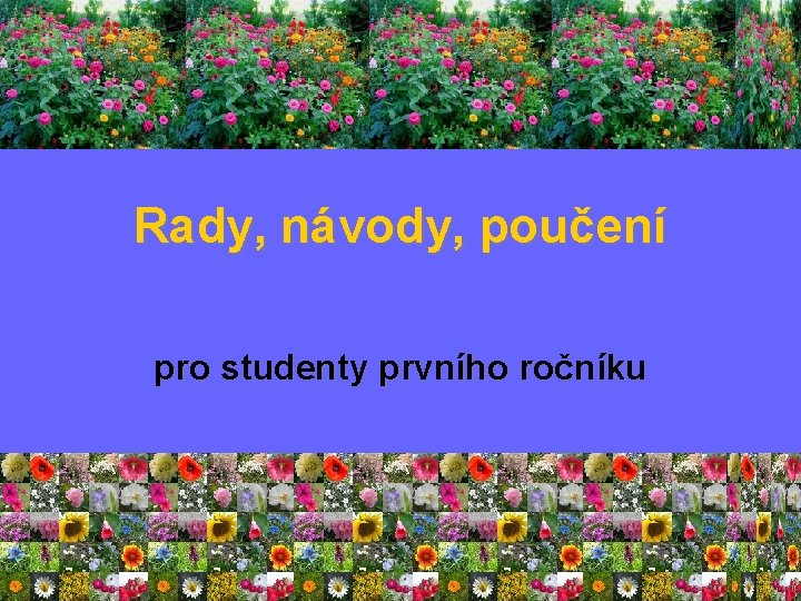 Rady, návody, poučení pro studenty prvního ročníku 