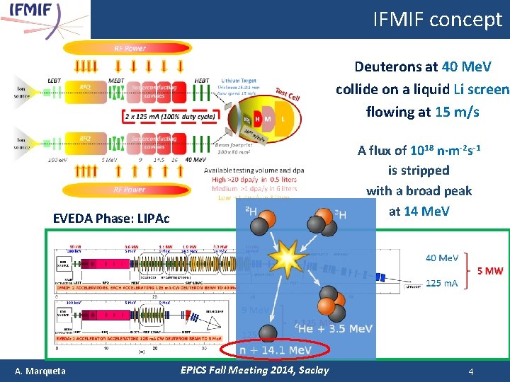 IFMIF concept Deuterons at 40 Me. V collide on a liquid Li screen flowing