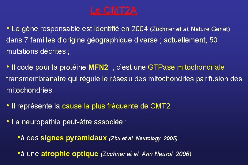 Le CMT 2 A • Le gène responsable est identifié en 2004 (Züchner et