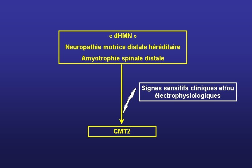  « d. HMN » Neuropathie motrice distale héréditaire Amyotrophie spinale distale Signes sensitifs