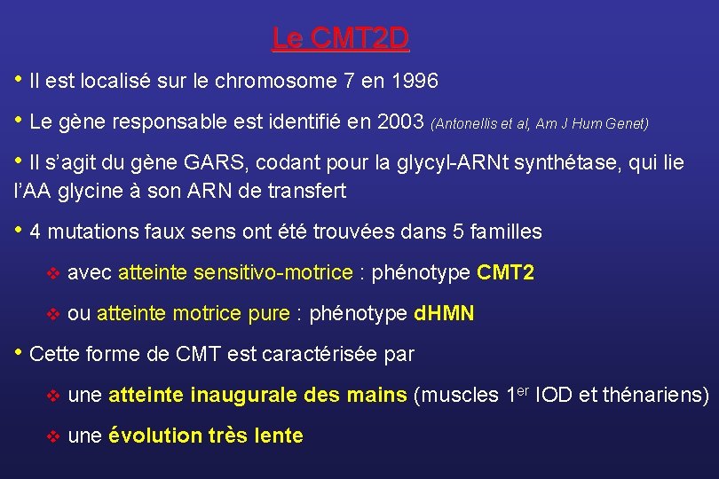 Le CMT 2 D • Il est localisé sur le chromosome 7 en 1996