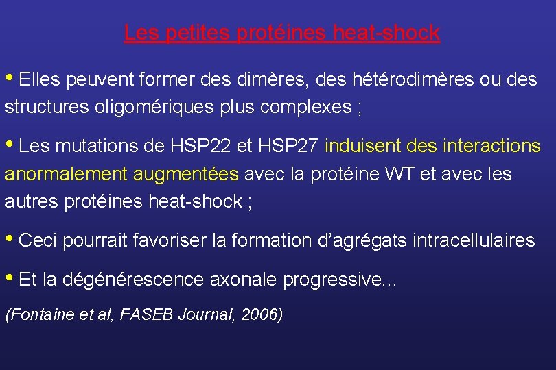 Les petites protéines heat-shock • Elles peuvent former des dimères, des hétérodimères ou des