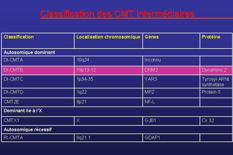 Classification des CMT intermédiaires Classification Localisation chromosomique Gènes Protéine Autosomique dominant DI-CMTA 10 q