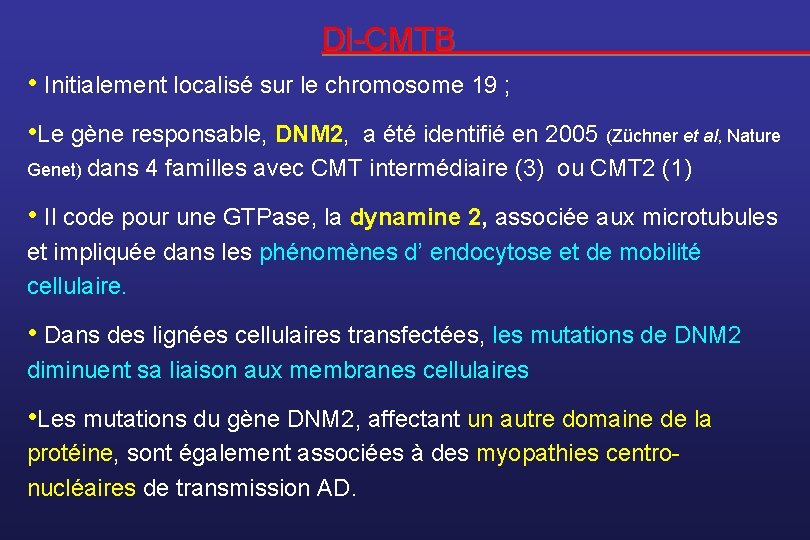 DI-CMTB • Initialement localisé sur le chromosome 19 ; • Le gène responsable, DNM