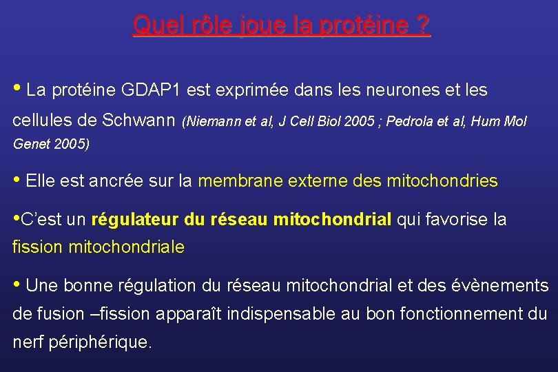 Quel rôle joue la protéine ? • La protéine GDAP 1 est exprimée dans