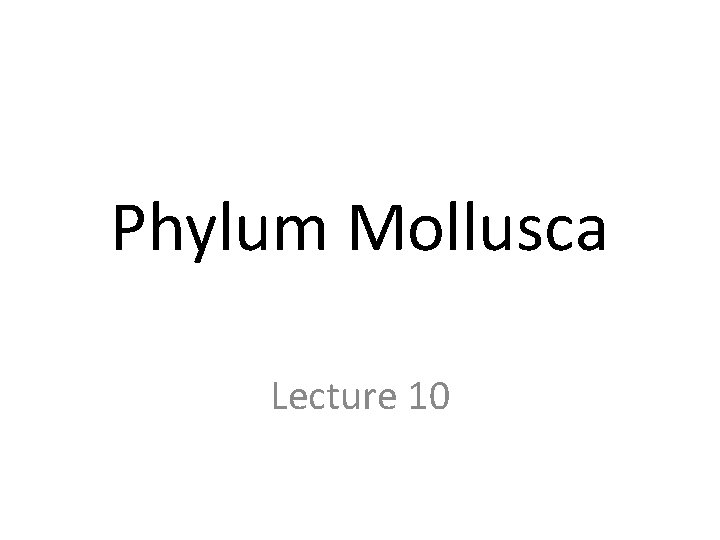 Phylum Mollusca Lecture 10 