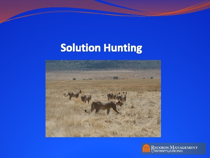 Solution Hunting 12 