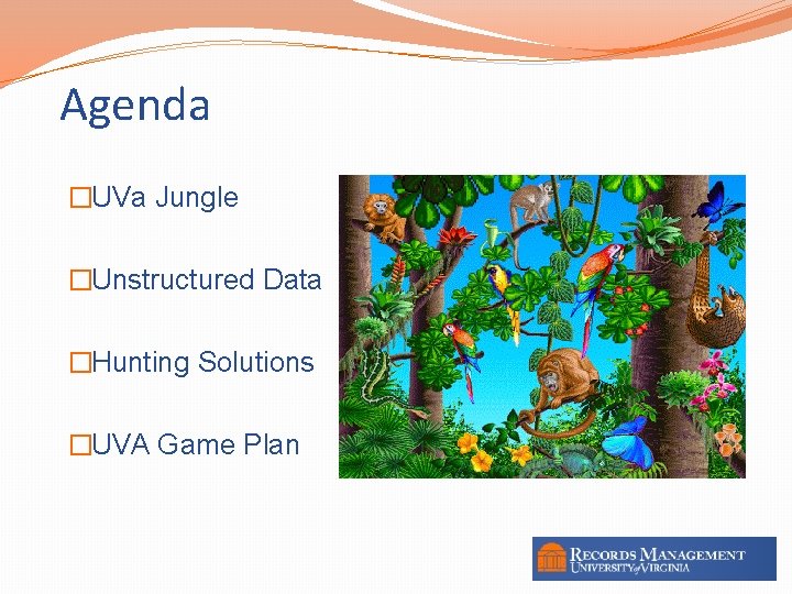 Agenda �UVa Jungle �Unstructured Data �Hunting Solutions �UVA Game Plan 2 