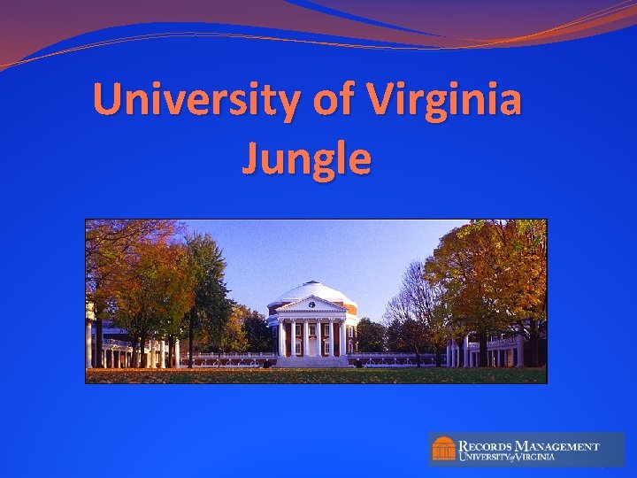 University of Virginia Jungle 3 