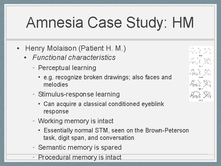 Amnesia Case Study: HM • Henry Molaison (Patient H. M. ) • Functional characteristics