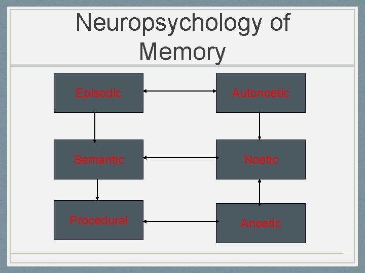 Neuropsychology of Memory Episodic Autonoetic Semantic Noetic Procedural Anoetic 