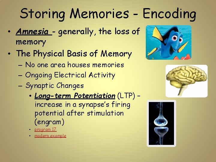 Storing Memories - Encoding • Amnesia - generally, the loss of memory • The