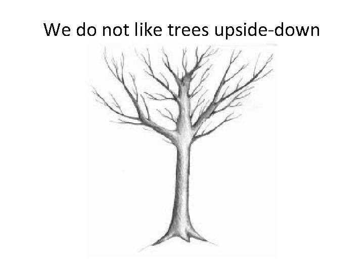 We do not like trees upside-down 